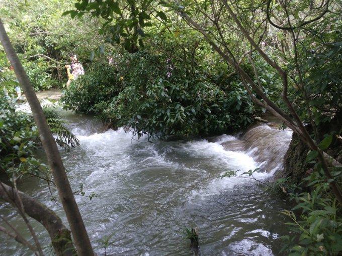 让更多“阳光雨露”滋养“枝繁叶茂”